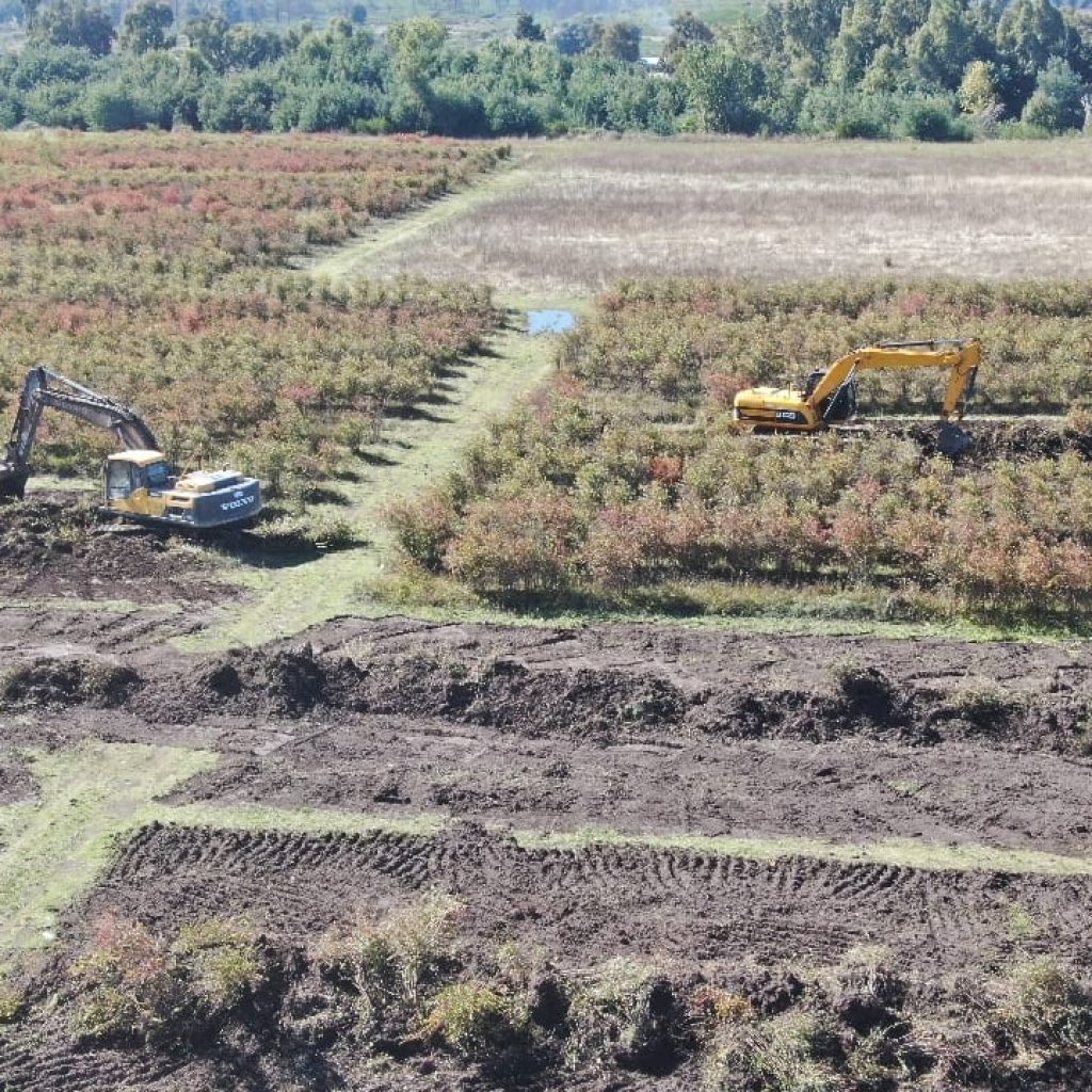 San Benito (1) San Benito (1)